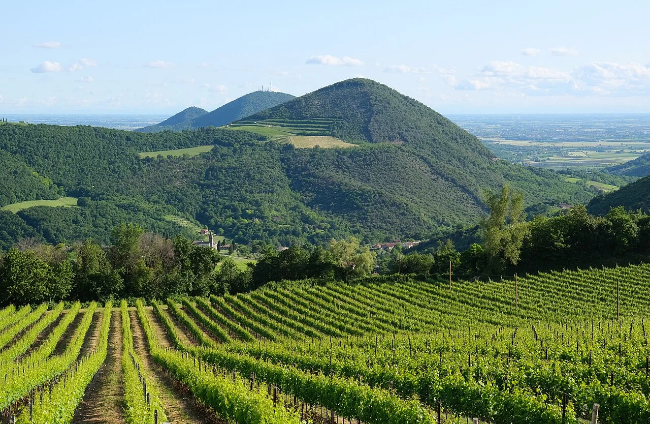Riserva Naturale della Madonna della Neve sul Monte Lera