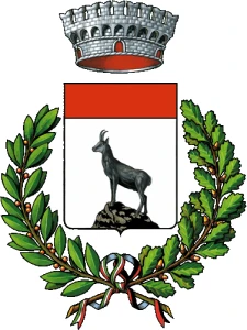 Chamois