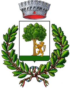 Noci