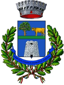 Oniferi