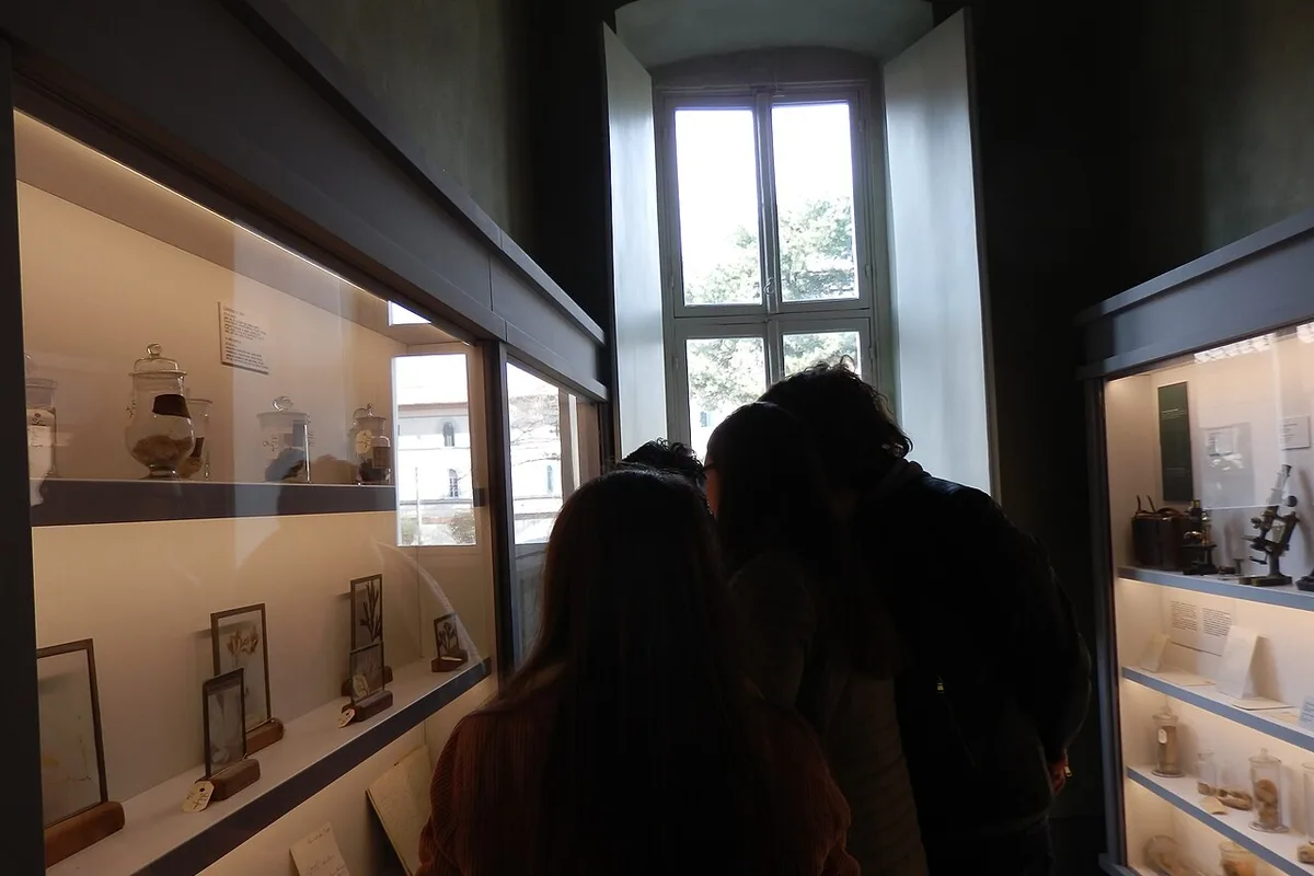 Orto e Museo Botanico di Pisa