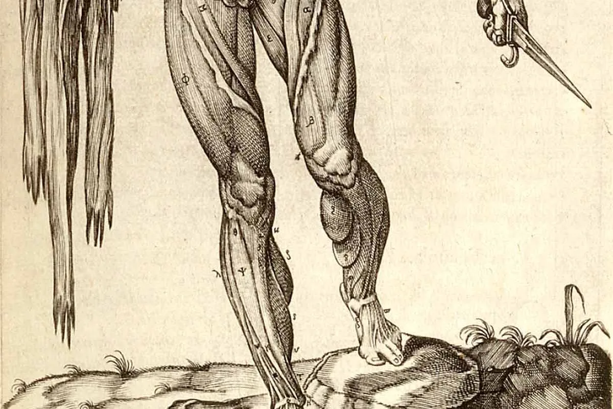 Museo di Anatomia Umana Filippo Civinini