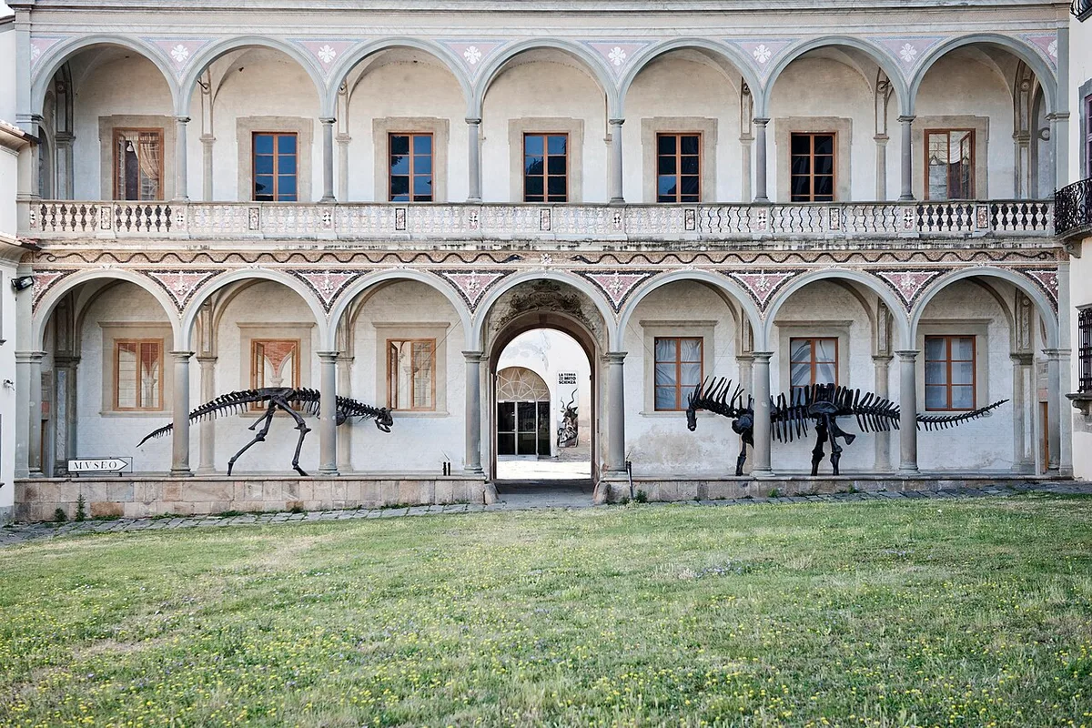 Museo di Paleontologia e Geologia di Pisa
