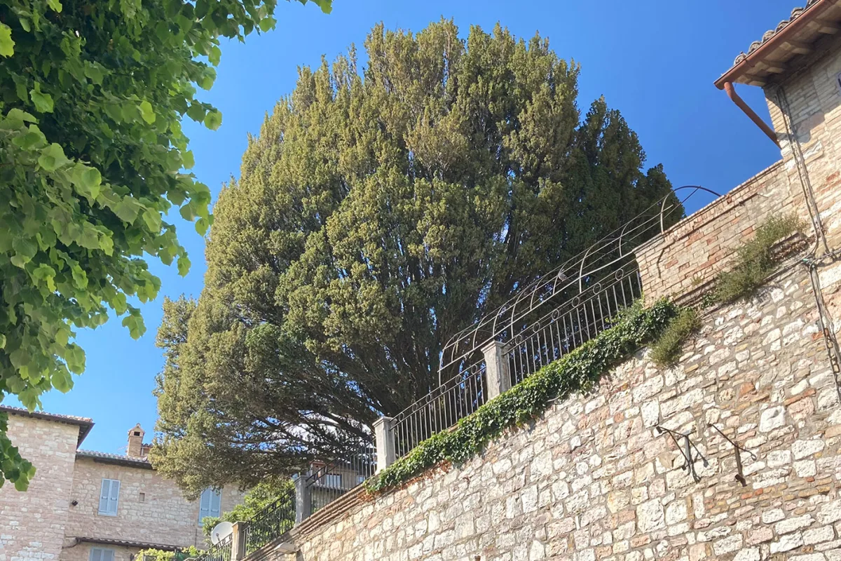 Assisi, Basilica di San Francesco e altri siti francescani (UNESCO)