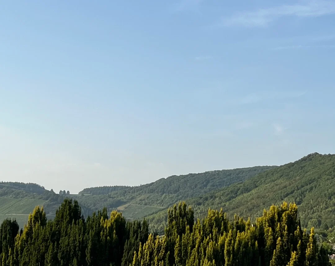 Sagra della Lumaca a Gubbio
